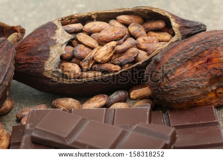 Cacao beans and chocolate