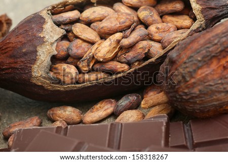 Chocolate with cacao beans