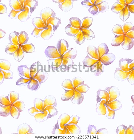isolated tropical flowers. seamless texture of flowers plumeria
