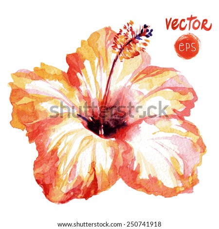 lovely flower isolated on white background. exotic flowers. vector flower isolated. vector hibiscus. exotic flower isolated. realistic watercolor flower. orange flower.