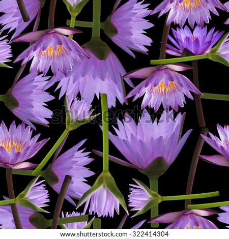 Purple lotus on dark background. Seamless floral pattern with tropical flowers water lilies. Realistic photo collage with beautiful flowers