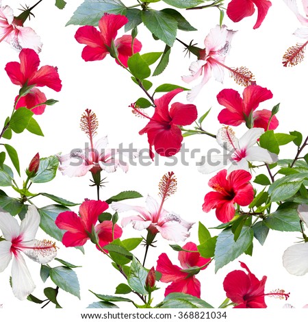 Tropical floral pattern isolated on a white background. Realistic photo collage of tropical paradise and flowers hibiscus.