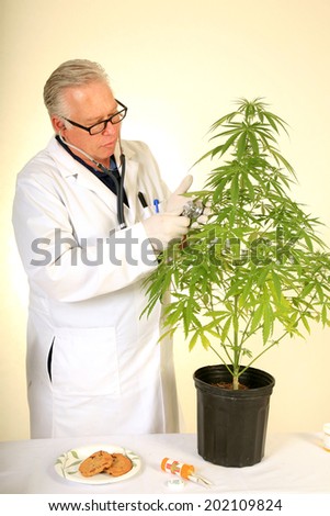 Doctor Sativa a Board Certified Medical Marijuana Doctor listens carefully to the faint 