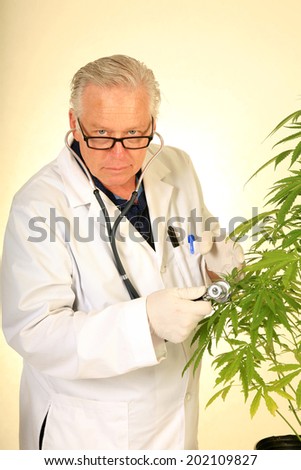Doctor Sativa a Board Certified Medical Marijuana Doctor listens carefully to the faint \