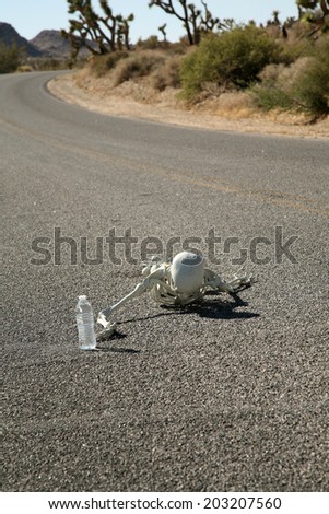 A lost hiker dies of thirst on a deserted desert road inches away from a bottle of water.  Dark Humor Series.