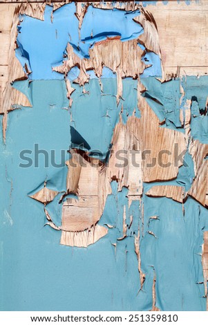 An old wooden door with peeling blue paint. Seamless background or wall paper image with interesting patterns of peeling blue paint on an old wooden door. Paint is important to help protect wood.