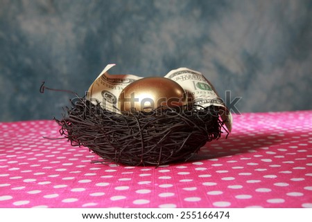 Nest Egg. A Solid 24K Golden Egg lays in a Black Bird Nest with a Genuine 100 Dollar bill.\
Represents Retirement savings, Saving for a Rainy Day, Savings account, 401K, Banking, Finance business