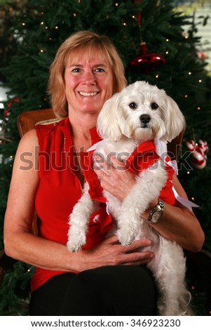A beautiful blonde woman poses with her beautiful pure white pure breed Bichon - Maltese dog with her Christmas tree behind her. Shot in studio with studio lights. Focus on their faces.