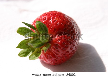 fresh ripe strawberry on white background and nice shadows
