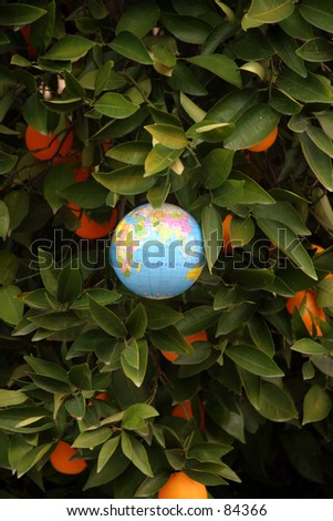 An orange tree grows bright orange fruit green leaves and a globe of the earth