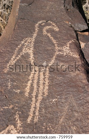 New Mexico Petroglyph of a parrot carved in a rock perhaps 2000-3000 years old