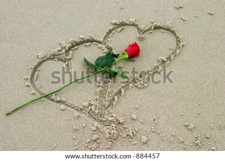 Rose in a heart in the sand for Valentines Day