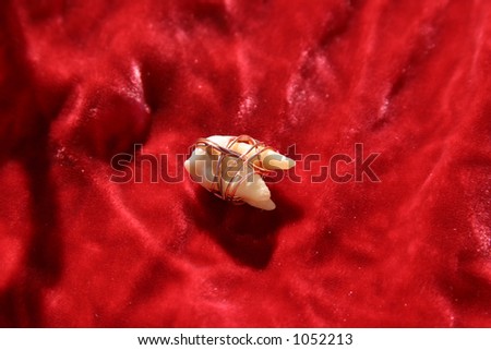 a single extracted human tooth wrapped in copper wire on red velvet, as part of a Voodoo Spell