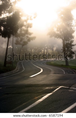 the morning sun peeks through a tree lined road bathing it with morning light through fog