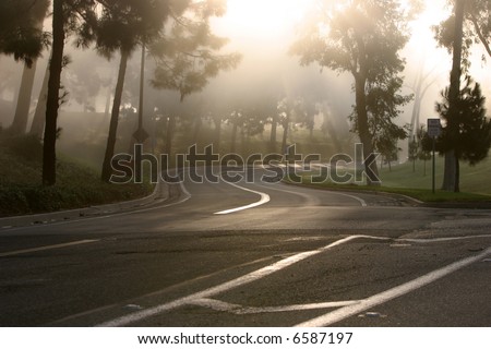 the morning sun peeks through a tree lined road bathing it with morning light through fog