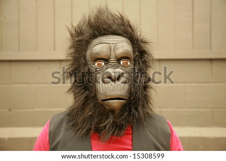 a male model wears a Gorilla Head Costume at the request of the photographer