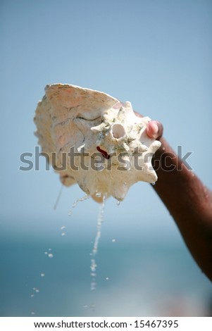 a person picks up a Conch shell out of the ocean as water drains out with a blue sky and green ocean background