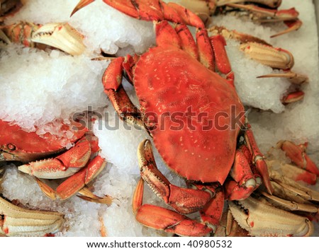 fresh cooked dungeness crab on ice for sale in a fish market