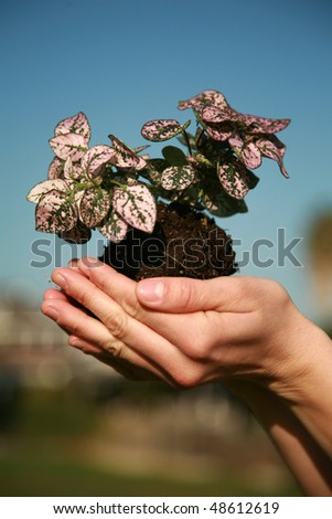 a womans hands hold dirt and plants for eco friendly concepts