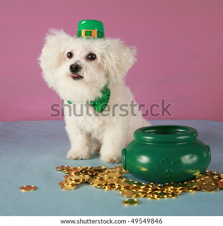 Animal Leprechaun