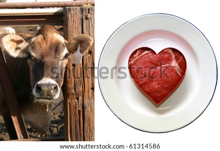 image of a beautiful cow next to an image of a fresh cut of lean beef cut into a heart shape on a white plate