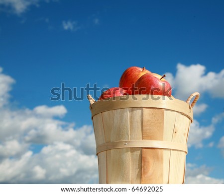 fresh picked red apples in a wooden basked againts a blue sky background outside in the autumn sun