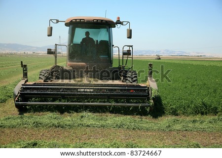 A genuine combine harvester cutting a field of alfalfa in a field in central california on a summer day. butterflies are flying all around in the air as the smell of fresh alfafa fills the senses