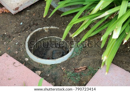 Sewer drain. A home sewer drain access so a plumber can unclog the drain if it becomes blocked with waste.