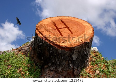 A tree stump on the edge of a cliff. Letter H carved in.