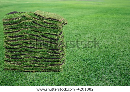 grass sod