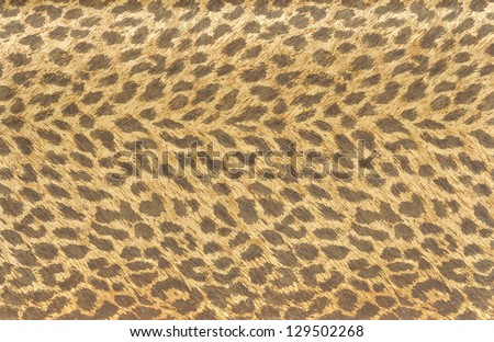 Tiger fur wallpaper Tiger fur wallpaper