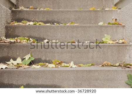 concrete steps with fallen autumn leaves