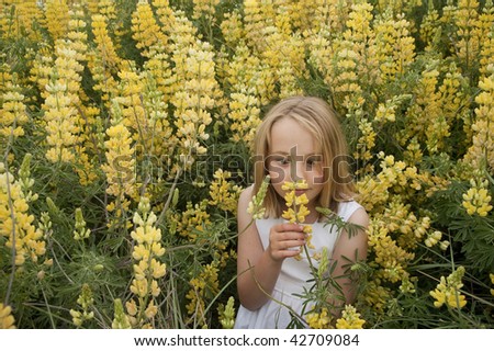 blonde little girl looking cross-eyed at single yellow lupine wildflower