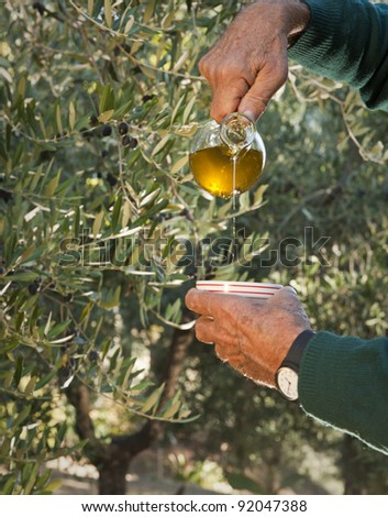 olive farmer