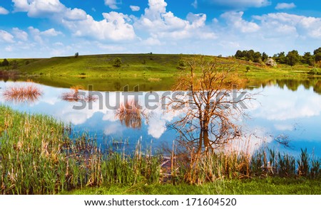 Colorful, attractive landscape with colorful tree against lake and ripe fields of Ukraine. Warm summer day and a saturated blue sky.