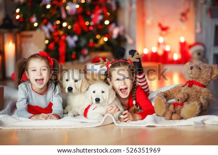 Children playing with puppies under Christmas tree