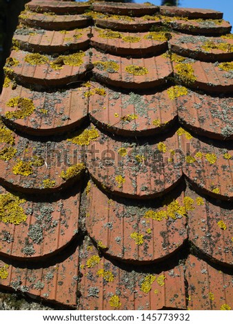 background, red old roof tiles covered with moss and lichen