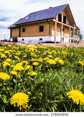 building of a wooden house on a meadow covered with flowering dandelions