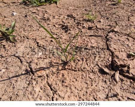 Dry cracked earth background clay desert texture