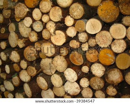 Pile of wood as fuel in place before winter. Background