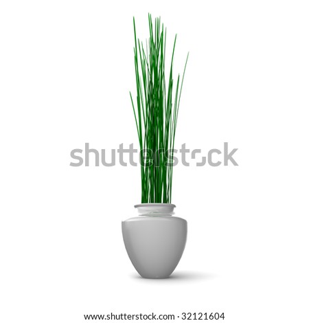 White Pot Plant