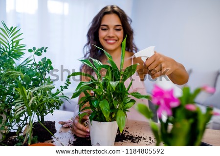 Young businesswoman sprays plants in flowerpots. Woman caring for house plant. Woman taking care of plants at her home, spraying a plant with pure water from a spray bottle