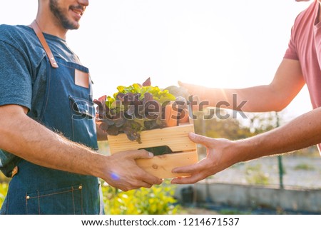 Farmer selling his organic produce on a sunny day. Farmer giving box of veg to customer on a sunny day. Local farmer talks with customer at farmers\' market