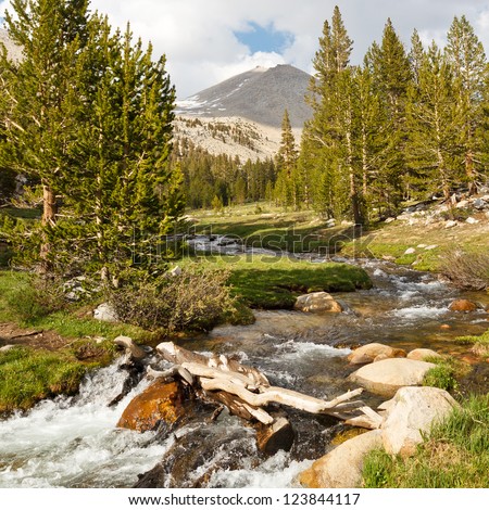 Whitney Creek - Beautiful alpine stream west of Mount Whitney, Sierra Nevada, California, USA