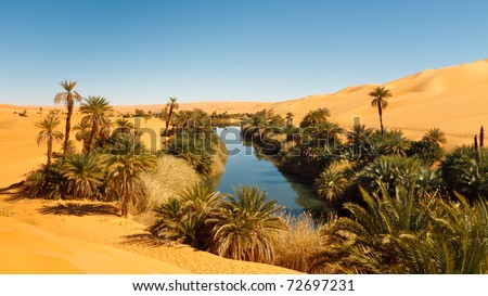 Umm al-Ma Lake - Idyllic oasis in the Awbari Sand Sea, Sahara Desert, Libya