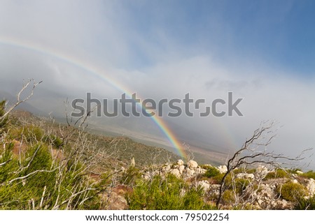 Rainbow after Thunderstorm in Anza-Borrego Desert State Park, Southern California, USA