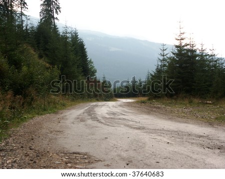 autumn road forest fir tree rough mountain atv terrain meadow suv hill 4x4