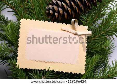 Background with fir and greeting card