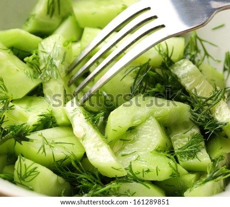 Green salad with cucumber and dill