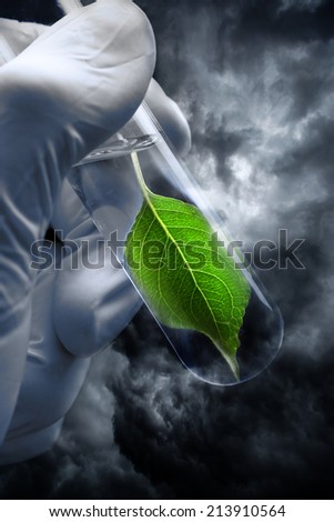 Hand in glove holding test tube with plant on thunder sky background